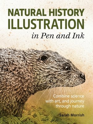 cover image of Natural History Illustration in Pen and Ink